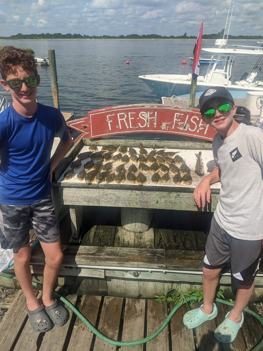 barnegat bay blow fish