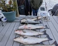 315779527 128176856713495 n