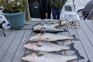 315779527 128176856713495 n