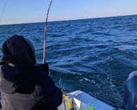 315912390 128176886713492 n