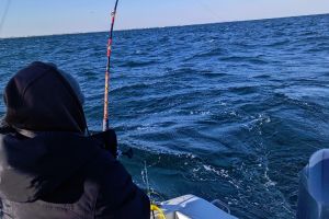 315912390 128176886713492 n