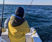 316130060 128176906713490 n