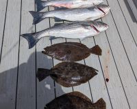 342600991 895735484849746 n