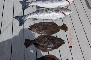 342600991 895735484849746 n