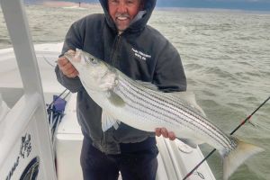 342634710 534518731984008 n