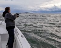 342648769 236935168926632 n