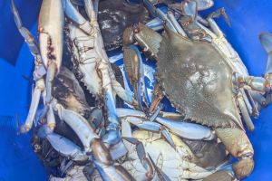 518073845 692732910257884 n