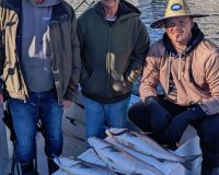 barnegat fishing