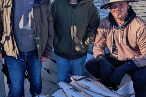 barnegat fishing