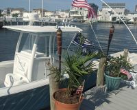 beach haven west fishing 13 20220819